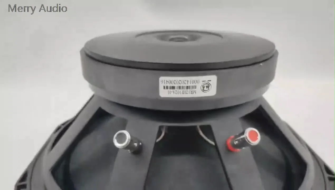 2000 watt dj speakers