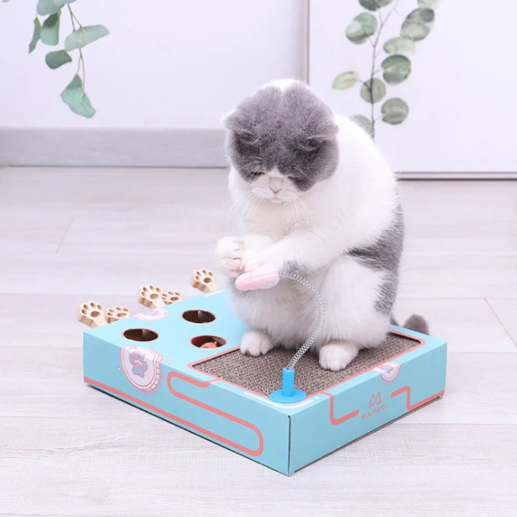 

MewooFun Cat Toy Teaser Cat Toy Interactive New 2021, As picture