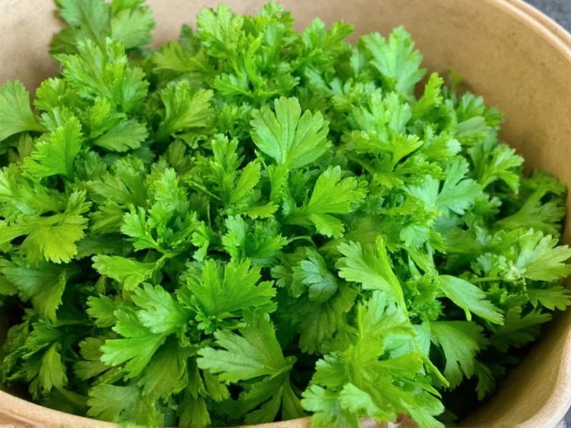 Parsley vs Cilantro: Key Differences Explained