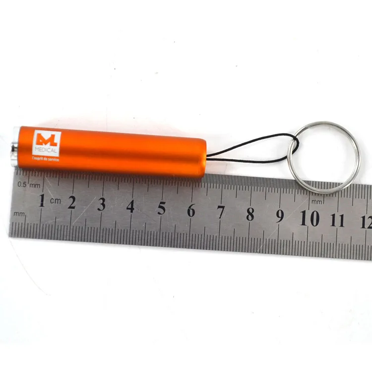 
LED Glow Logo Light up Keychain 