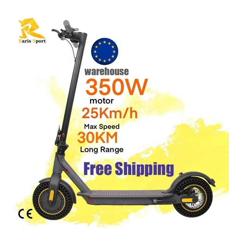 

Hot selling in Germany EU warehouse 10inch two wheels scooters 350w 7.8ah skyboard electric scoter motorcycle scooter adult