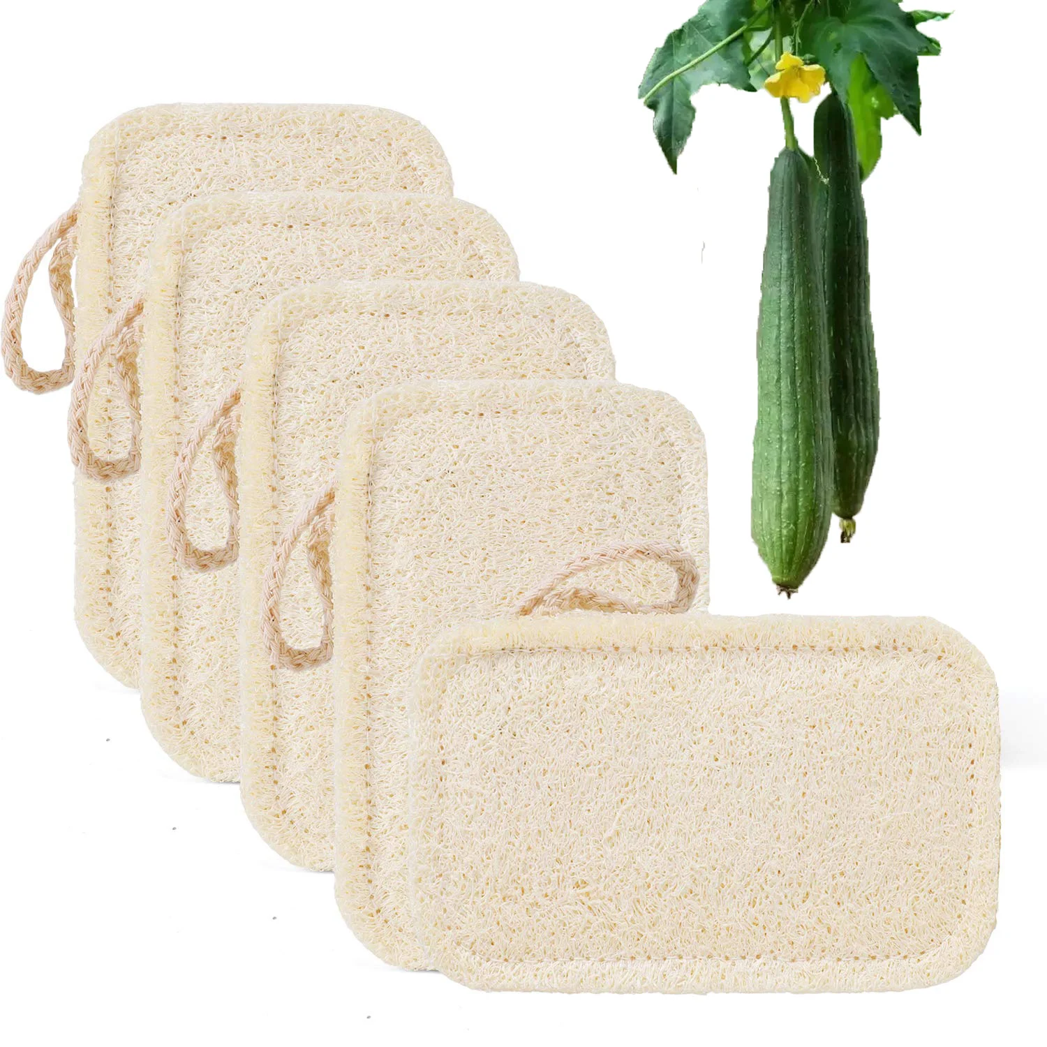 

Biodegradable and Zero Waste Natural Dishwashing Sponges Kitchen Eco Scrub Scourer Natural Loofah Plant