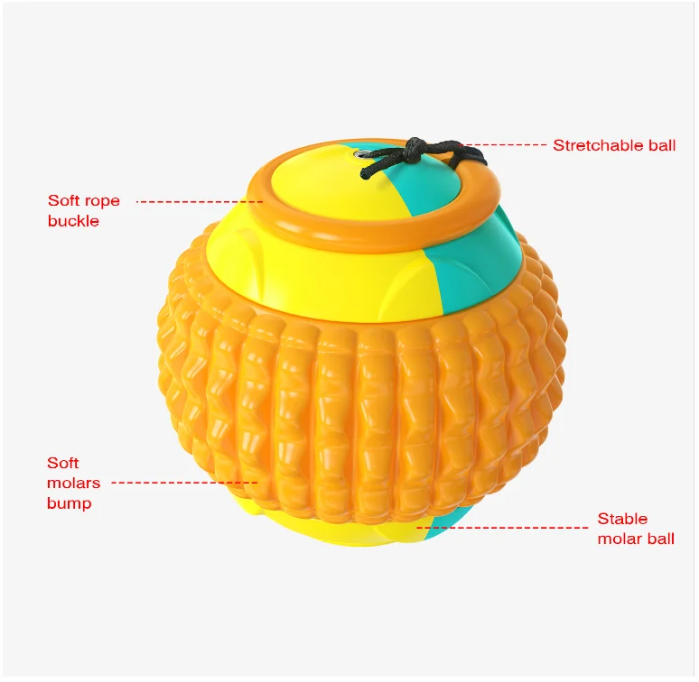 

Amazon Hot Sale Stick Outdoor Molar Teeth Bite Resistant Automatically Stretchable Pet Throwing Ball New Product Dog Toys, Blue, orange