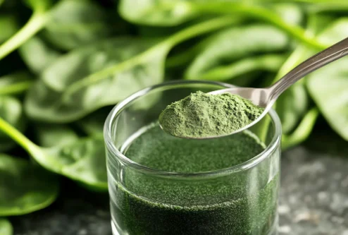 Spinach Powder - Bulk Wholesale from China Factory H2f2aad8cfd2c494eb64a966786470235o