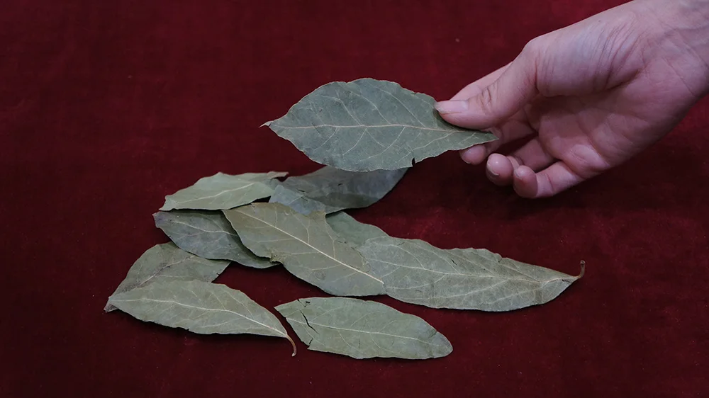 Bay leaves 3.JPG