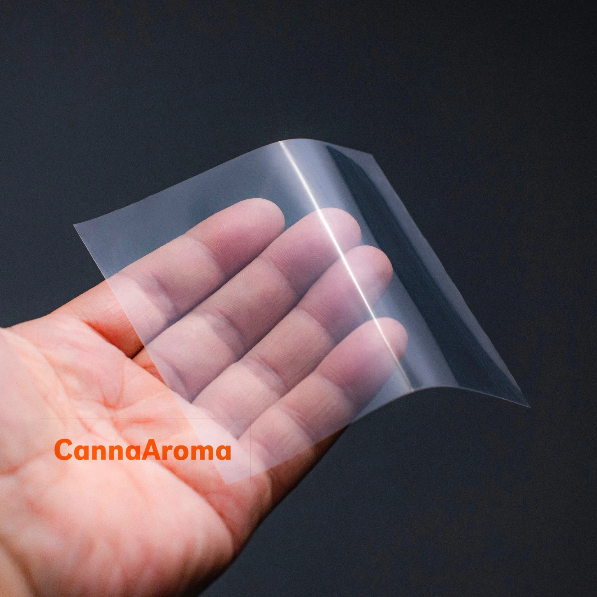 COMPART 5 Hojas Para Álbum GRANDE – Protector De Placas De Cava Y Chapas, 42 Divisiones Por Hoja, Transparente, Incluye 5 Hojas Separadoras Negras