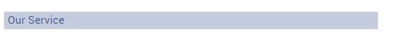 OUR SERVICE.JPG