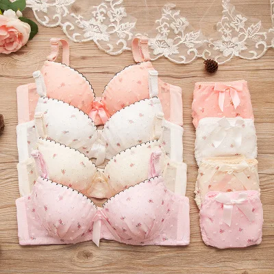 

Hot sale Printed Panty Set Bra Women Lace Bra Set Panty and Bra Sets For Girls, Pink