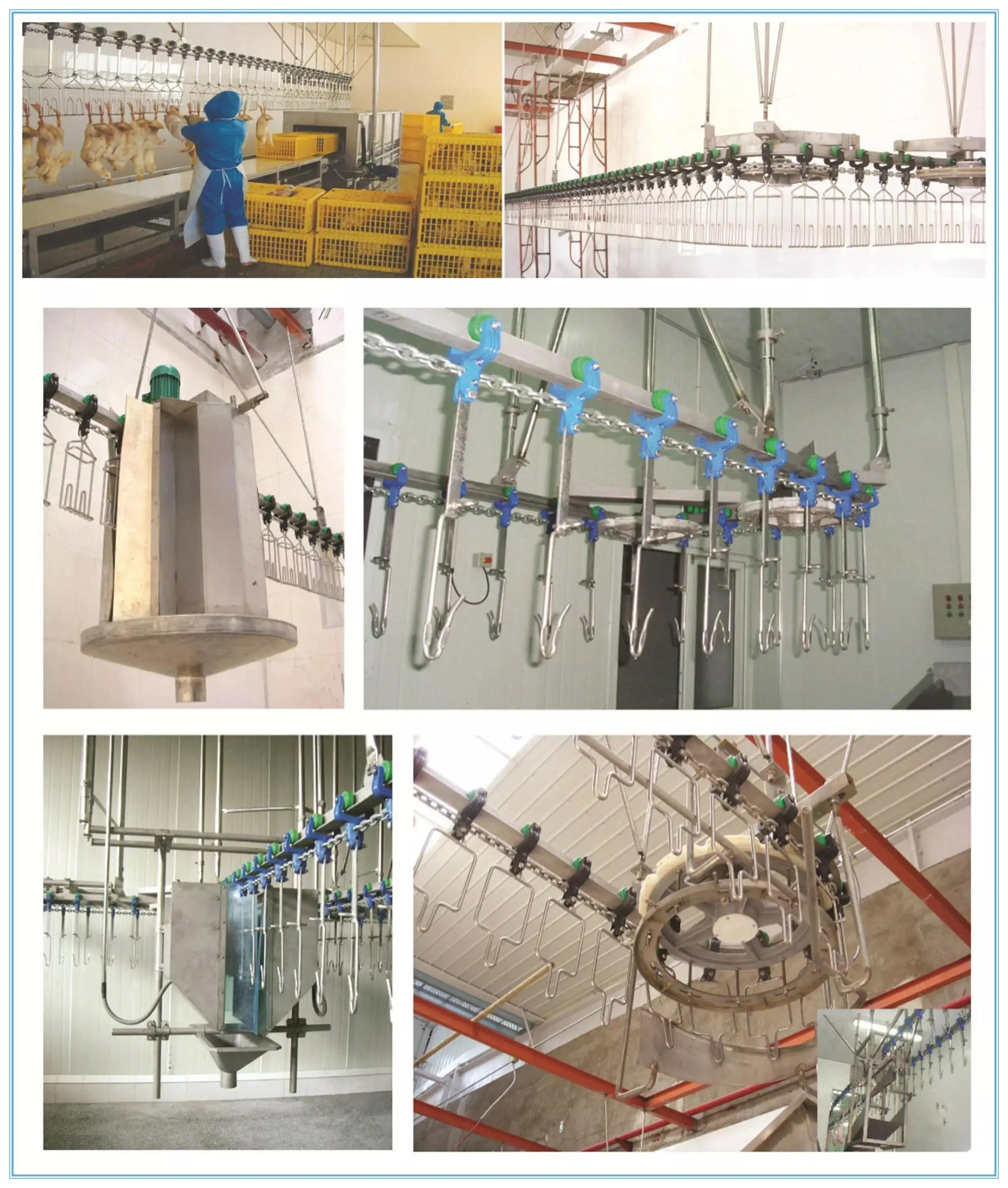 Poultry slaughtering equipment, suitable for poultry production line slaughterhouses