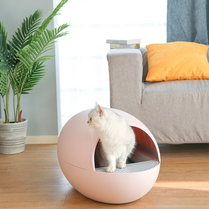 best automatic litter box for cats