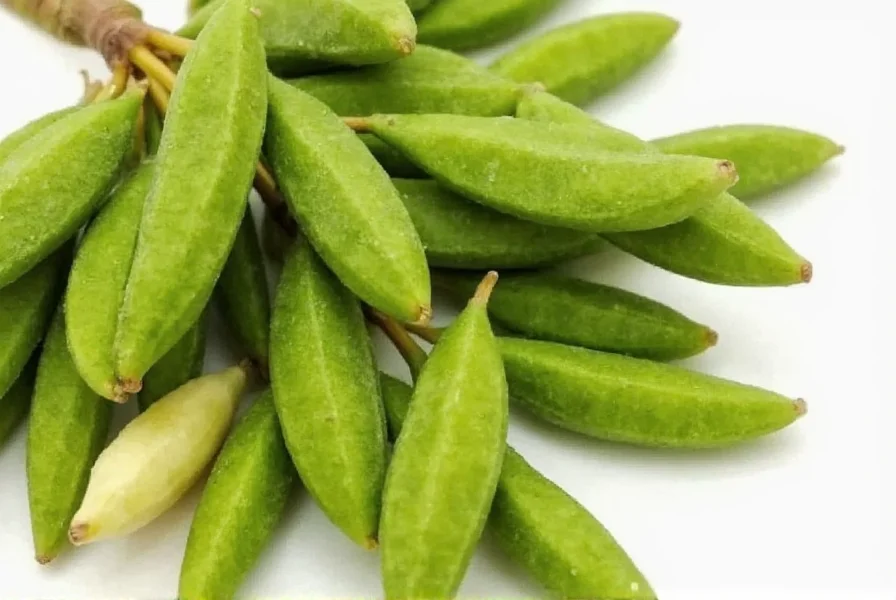 green cardamom pods a flavorful journey for spice lovers