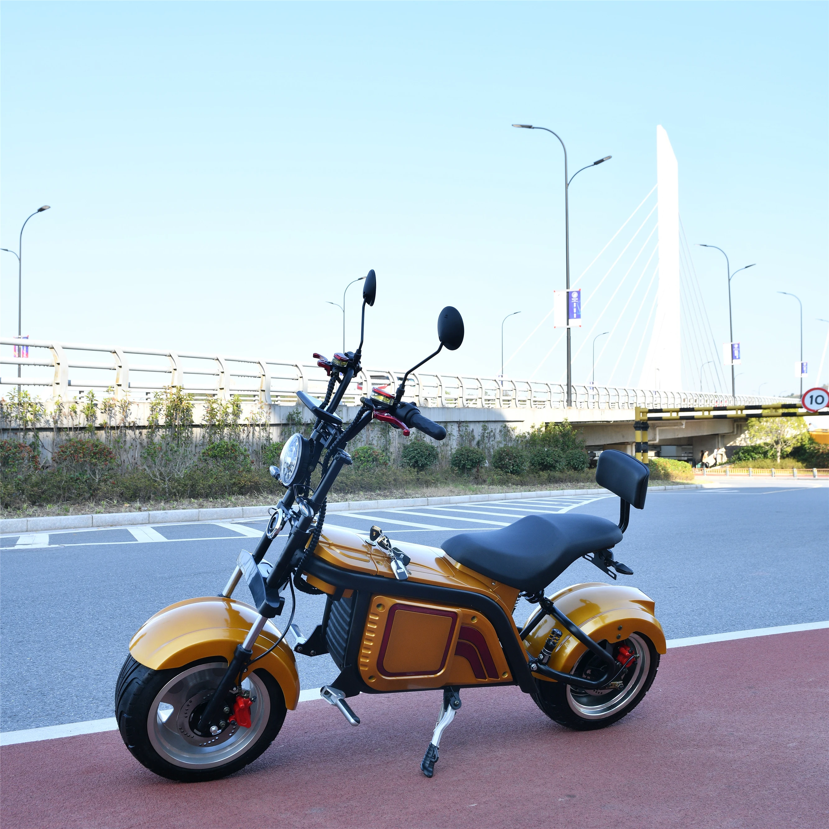 

High Performance Customized Citycoco 2000W Lithium Battery Fat Tire Nzita Handicapped Citycoco Electric Scooters