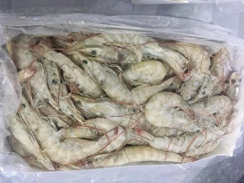 
Frozen shrimp 
