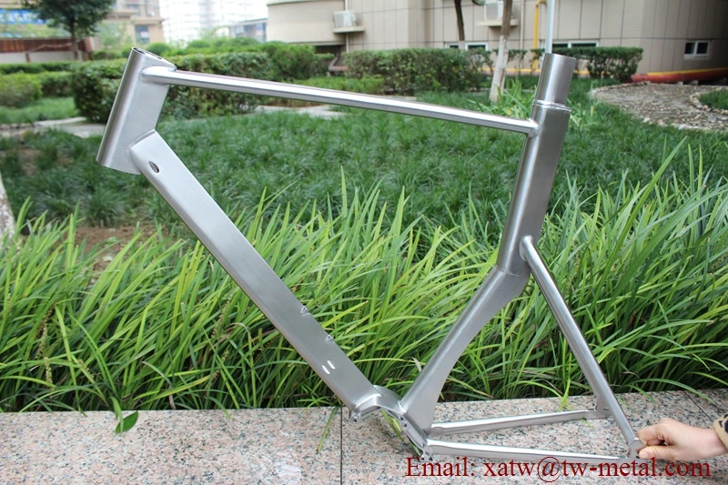 pinion titanium frame