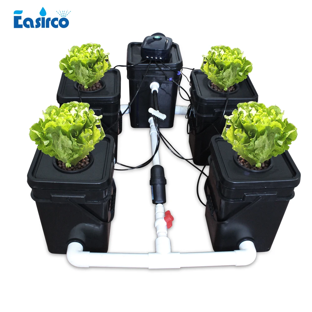 

RDWC and drip irrigation hydroponics system 4 bucket air pump and cycle pump clone bucket