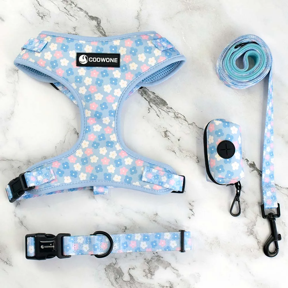 

Pet Supplies 2021 Custom Design Neoprene Dog Harness and Leash Set Personalised Dog Harness Dog Accessories Supplier, Customized color