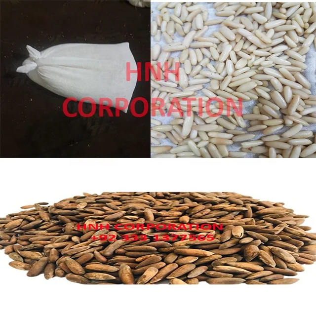
Organic Pine Nuts Kernels / Pakistani Pine Nuts Kernels 
