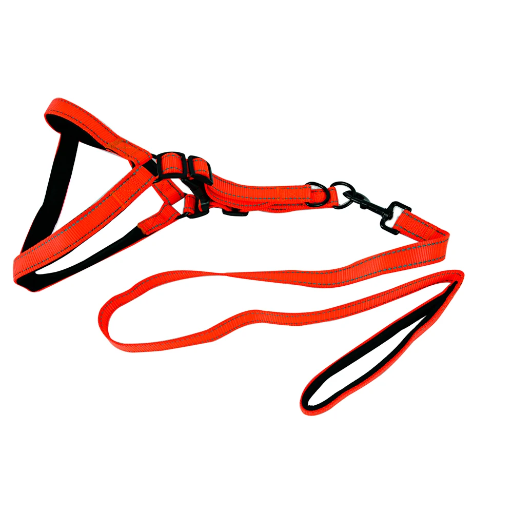 

Factory direct sale nylon material durable reflective silk pet dog leash set dog walking leash