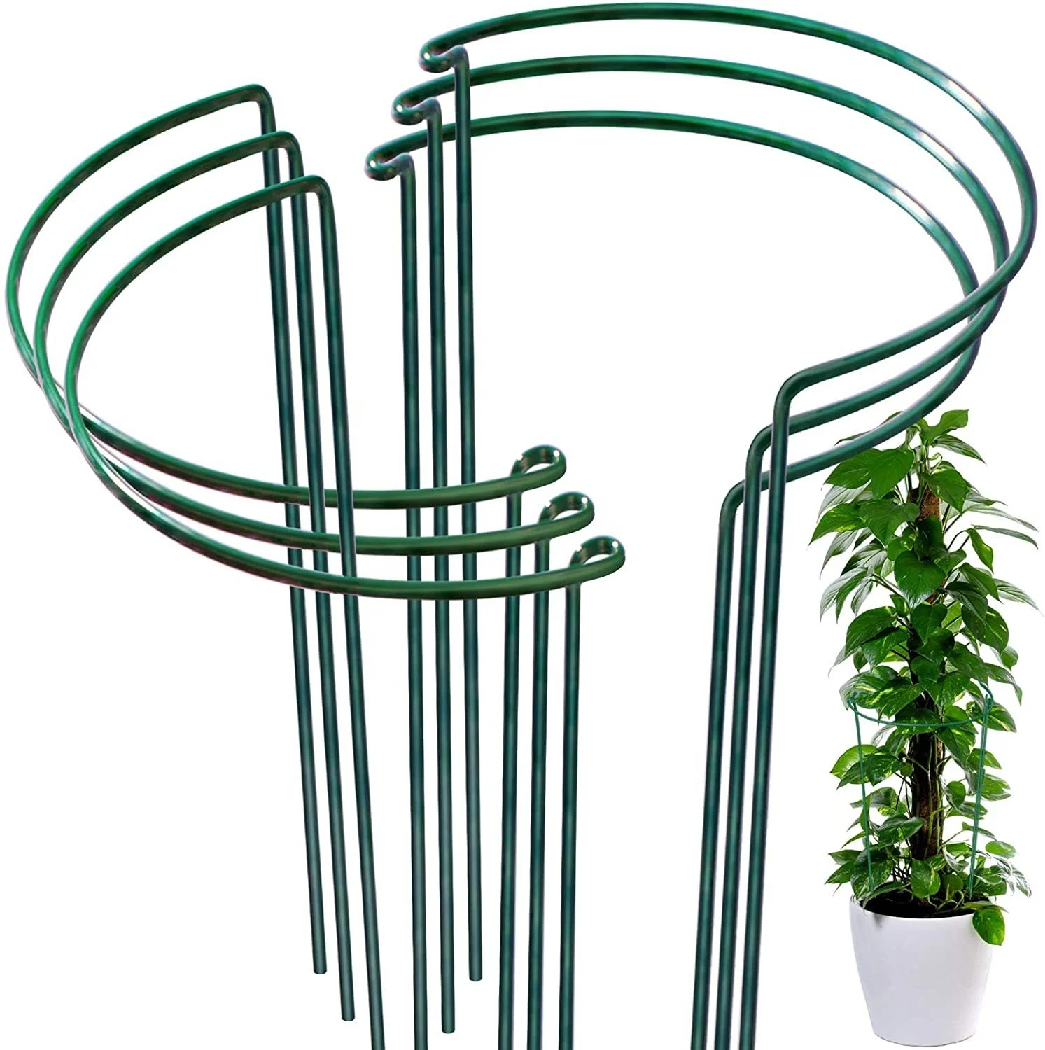 

Plant post Garden plant stand support pole Green garden plant support acrylic flower stand ring, Decided color