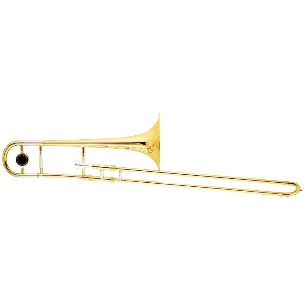 TT8125-.png
