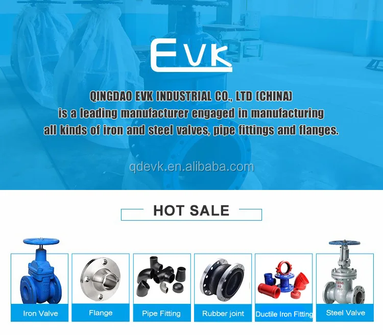 EVK1