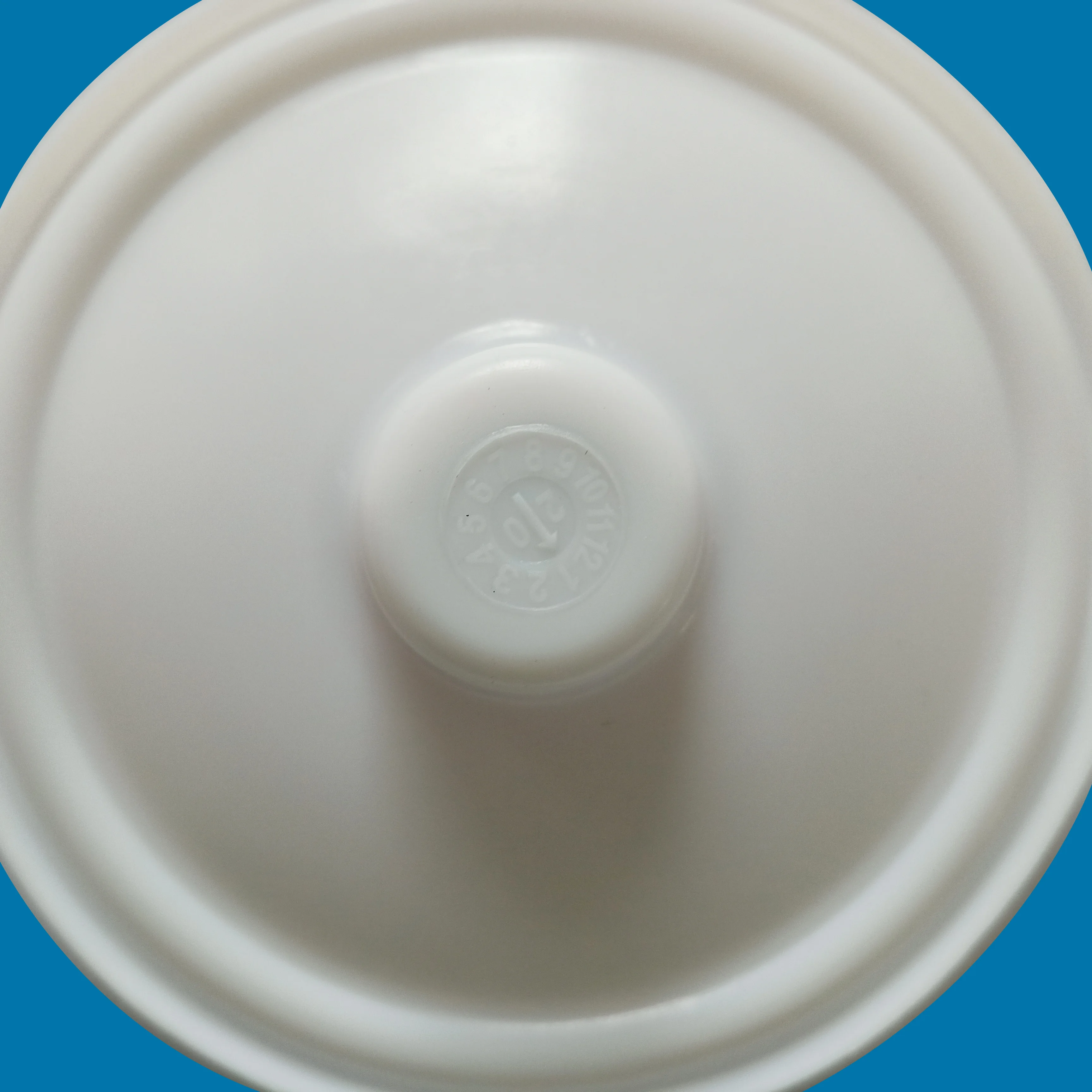 CF00-1030-55 PTFE diaphragm supplier