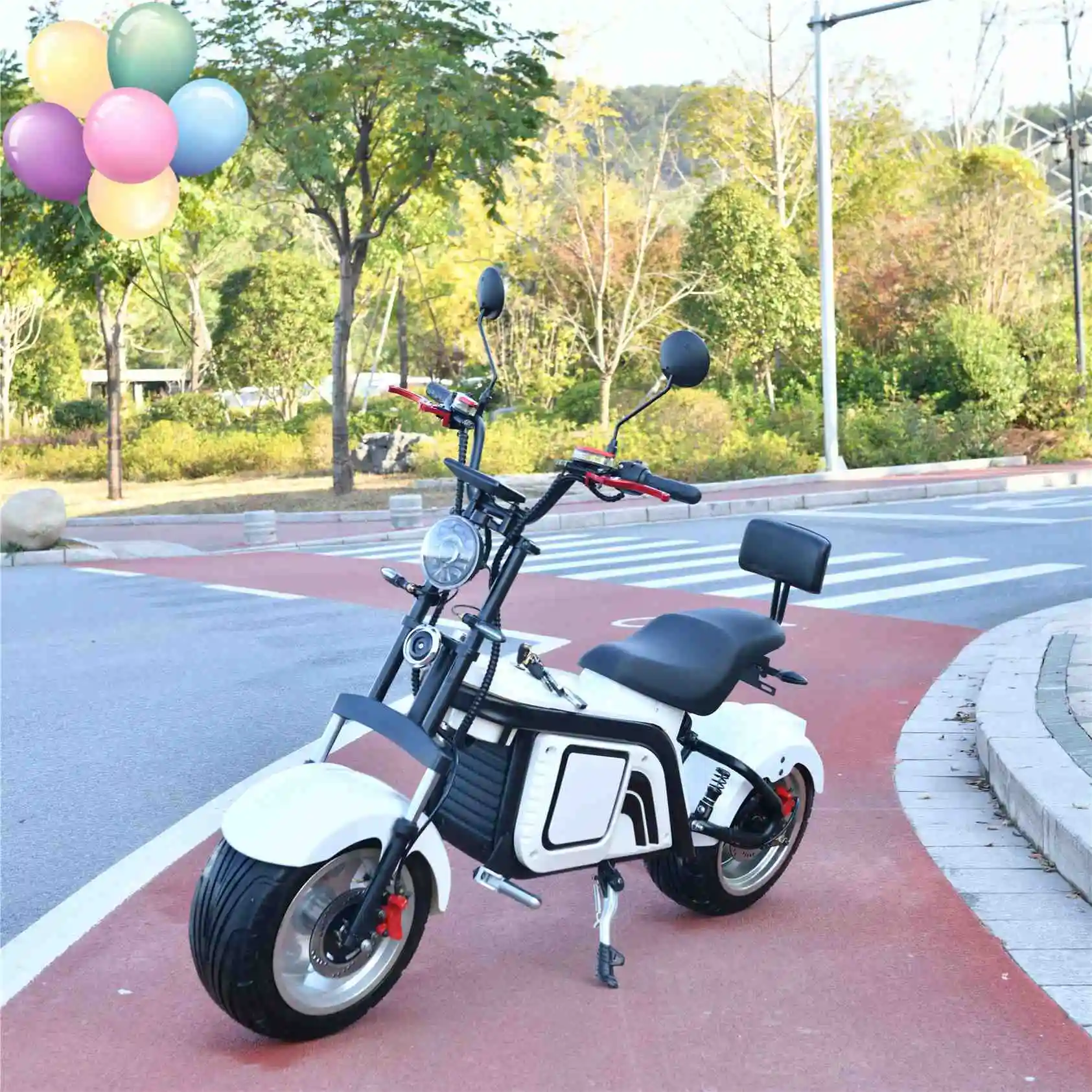 

Citycoco Eec Certificate YIDE M2 Model