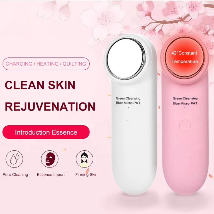 

2020 Best Selling Beauty Equipment Beauty Personal Care LED Skin Massager