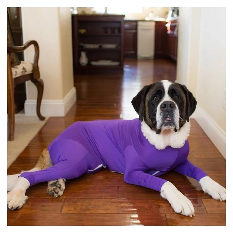 

New wholesale stretch cat four-legged clothes pet clothes breathable dog clothing