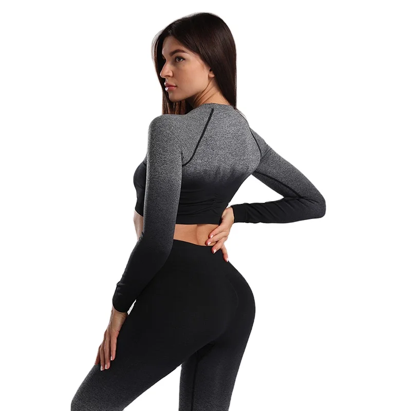 

stylish quick dry sporty gradient dye long sleeve fitness yoga wear crew crop top alphalete top