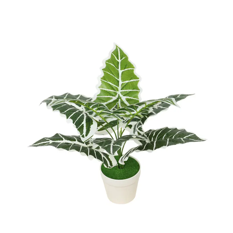 

Wholesale fake outdoor plants with pot amazon hot sale artificial plant white and green interior decoration