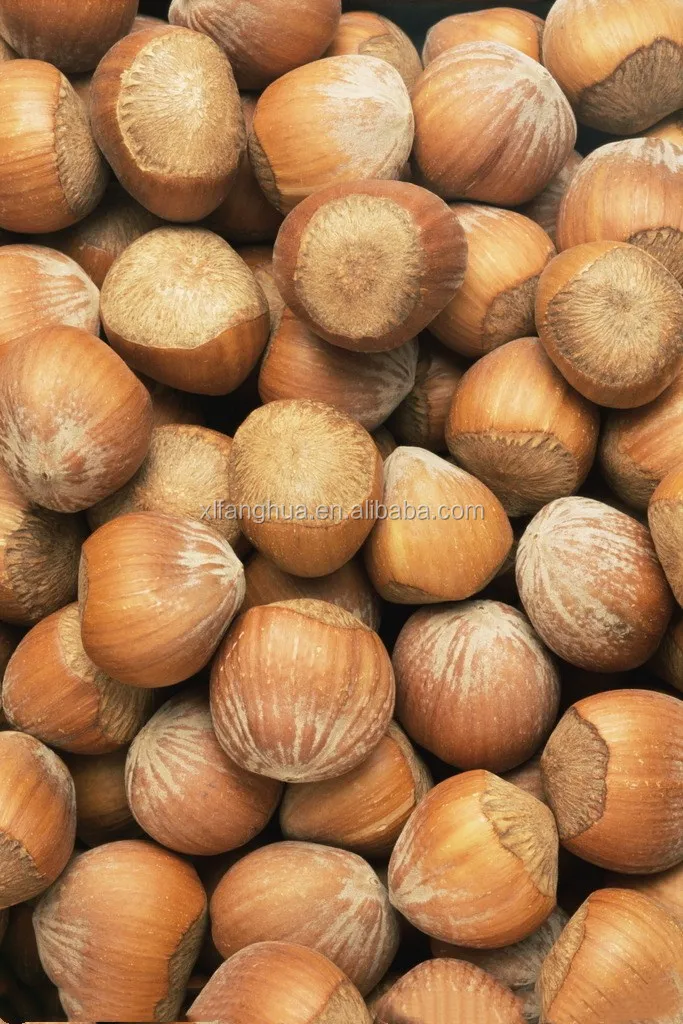 Open Hazelnut Snack Buy Healthy Snacks,Hazelnut,Chinese Snacks
