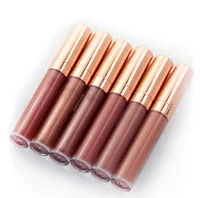 

Nude Waterproof Vegan Liquid Shimmer No Logo Lip Gloss