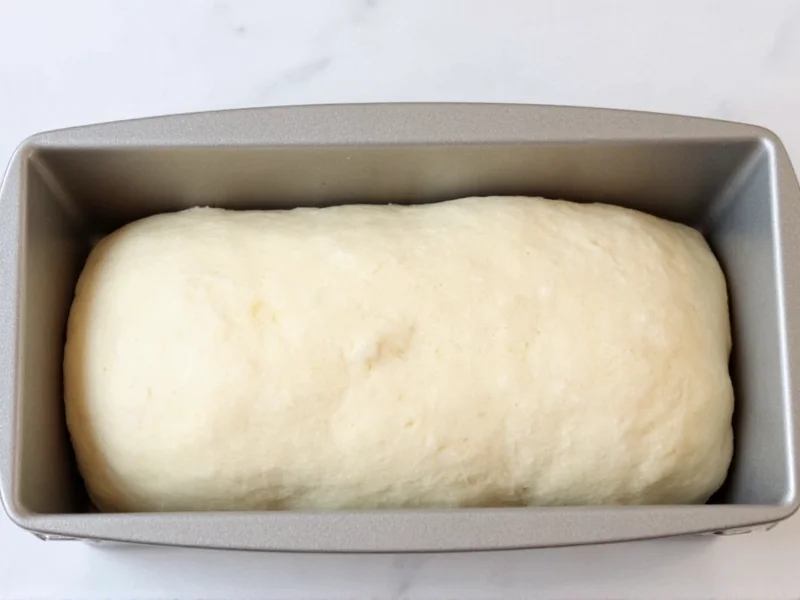 Homemade white bread dough during second rise in loaf pan
