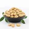 Halal Certificate Snack Roasted Salted Peanuts Wholesale Cheaper