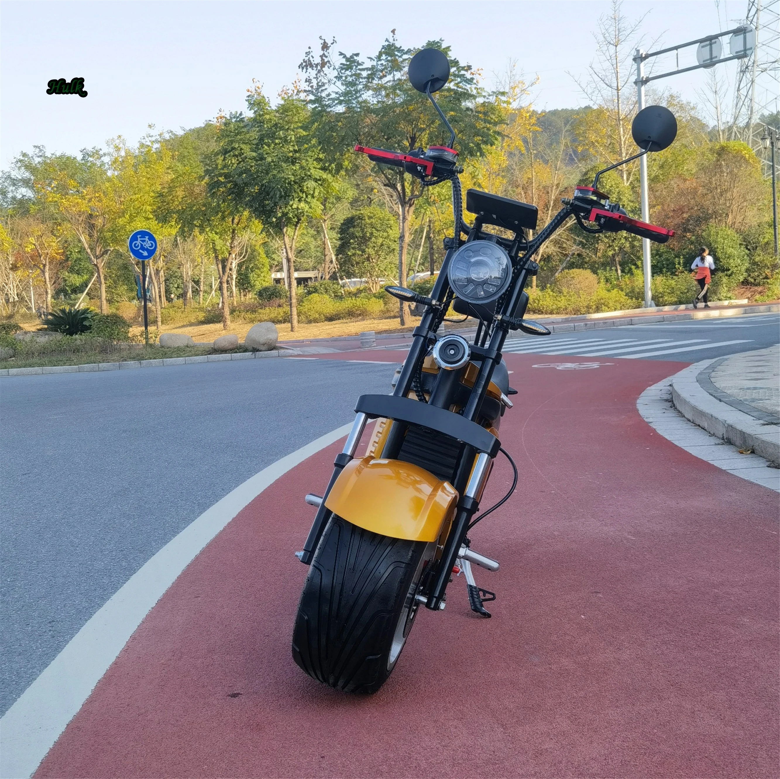 

EU Warehouse EEC/COC Good Quality Durable Performance For Electric Scooter