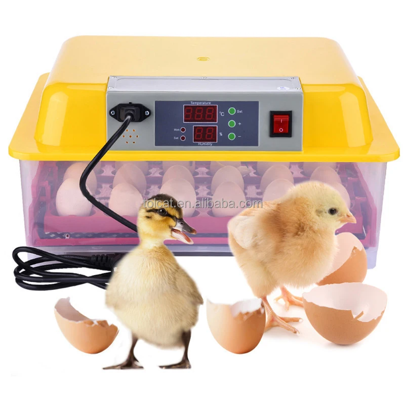 

Tolcat LED light Good quality full automatic mini 24 eggs incubator for chicken quail duck eggs incubator for hatching chicken