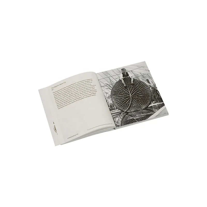 
Custom stickers logo booklet notebook calendar postcard package magazine paper label prints business card brochure book printing 