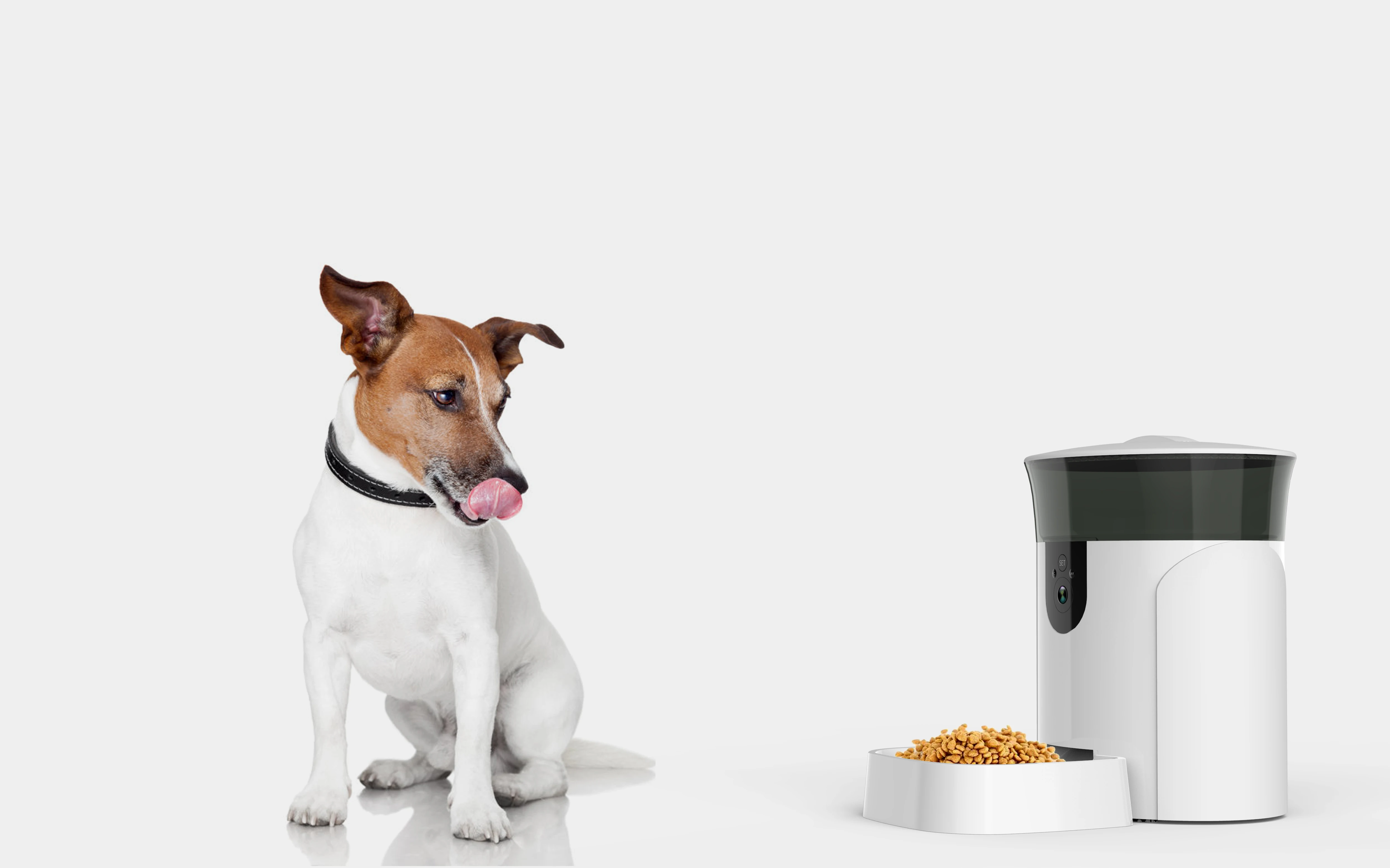 we have another tuya smart pet feeder for your reference as well