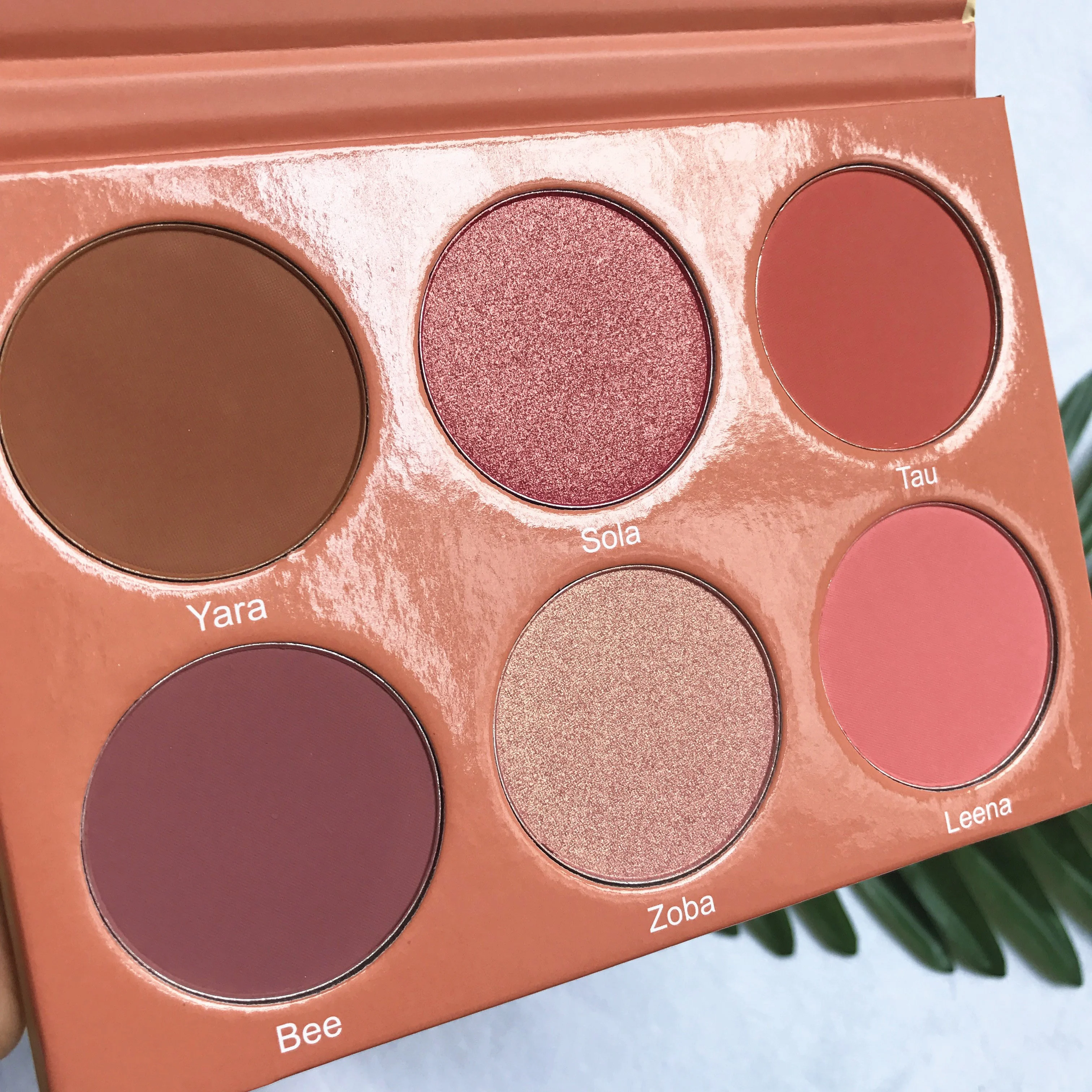 

OEM/ODM Wholesale 3 Blushes 3 Highlighters Portable Beautiful Blush Palette Private Label, Customized