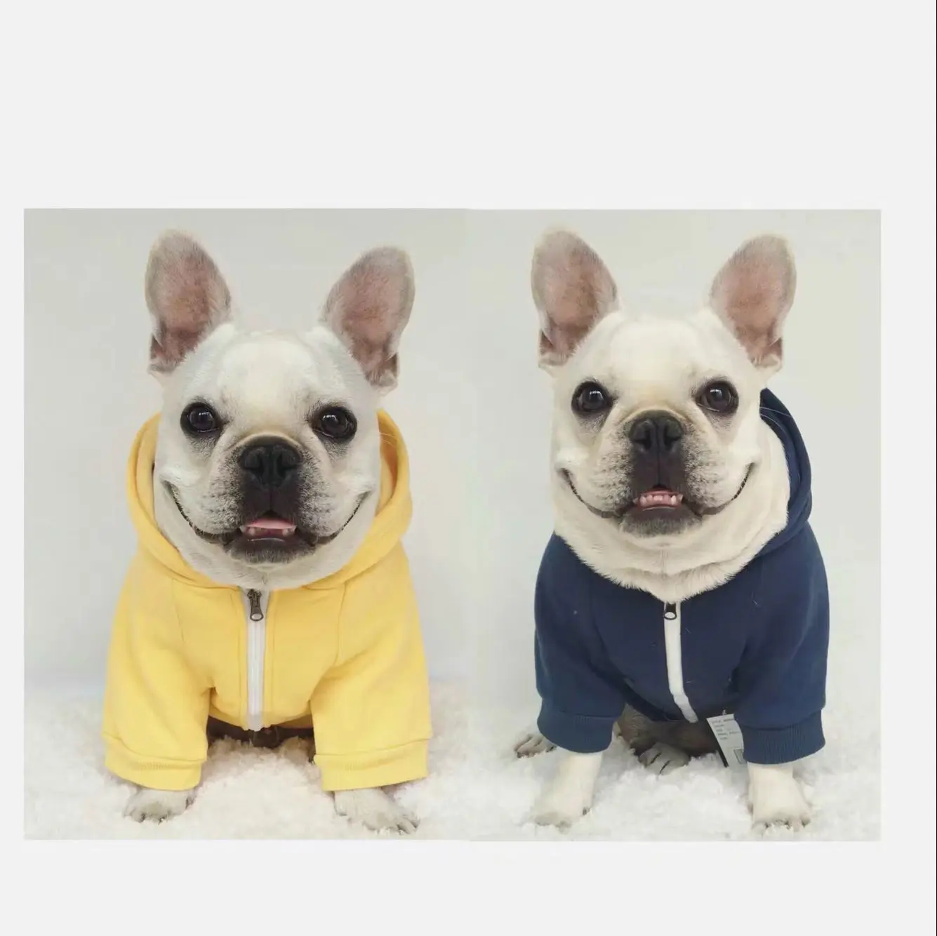 

Dog Sweater Dog Hoodie Pet Sweater Spring and Autumn Puppy Outdoor Clothes Decoration Foreign Trade Best-selling Dog Apparel