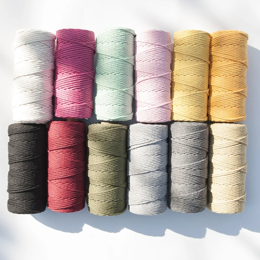 

3 mm Macrame Cotton Cord Twisted Cord 100 M, Colorful