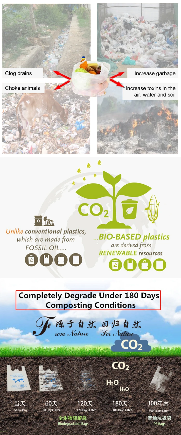 Customized Biodegradable Poly Mailer Large Mailing Bags for Custom Logo Plastic Padded Eco Friendly Clothes Packaging