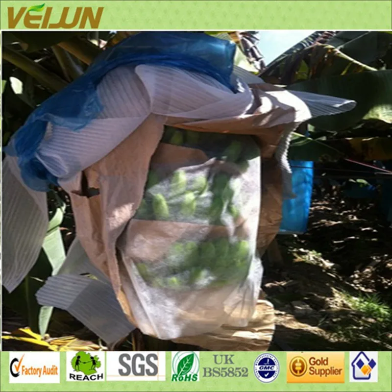 
[FACTORY ] PP nonwoven Fruit protection bag/Banana grow bag 