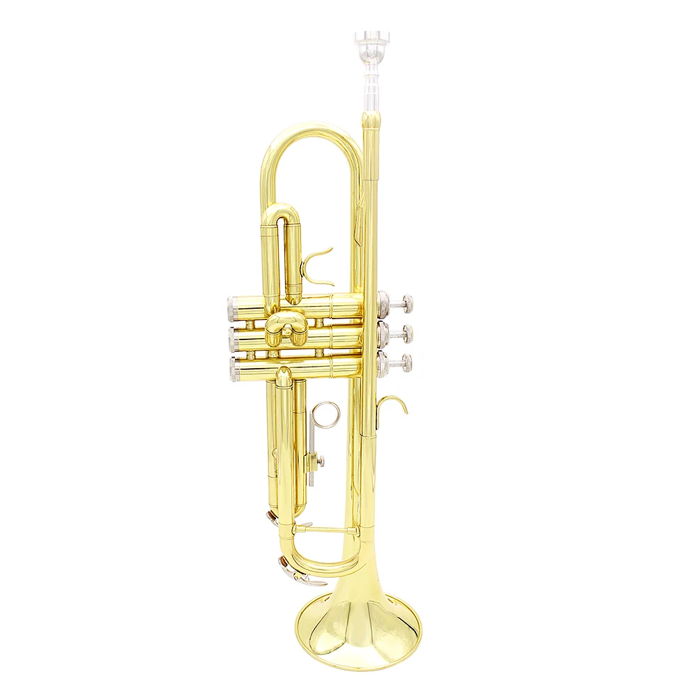 

Trumpet Brass Standard Bb Trumpet Student Beginner with Hard Case Mouthpiece Gold, Silver / purple / green / golden / blue (optional)