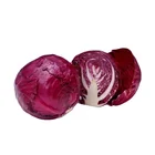 China price for red cabbage large and round Chinese purple cabbage