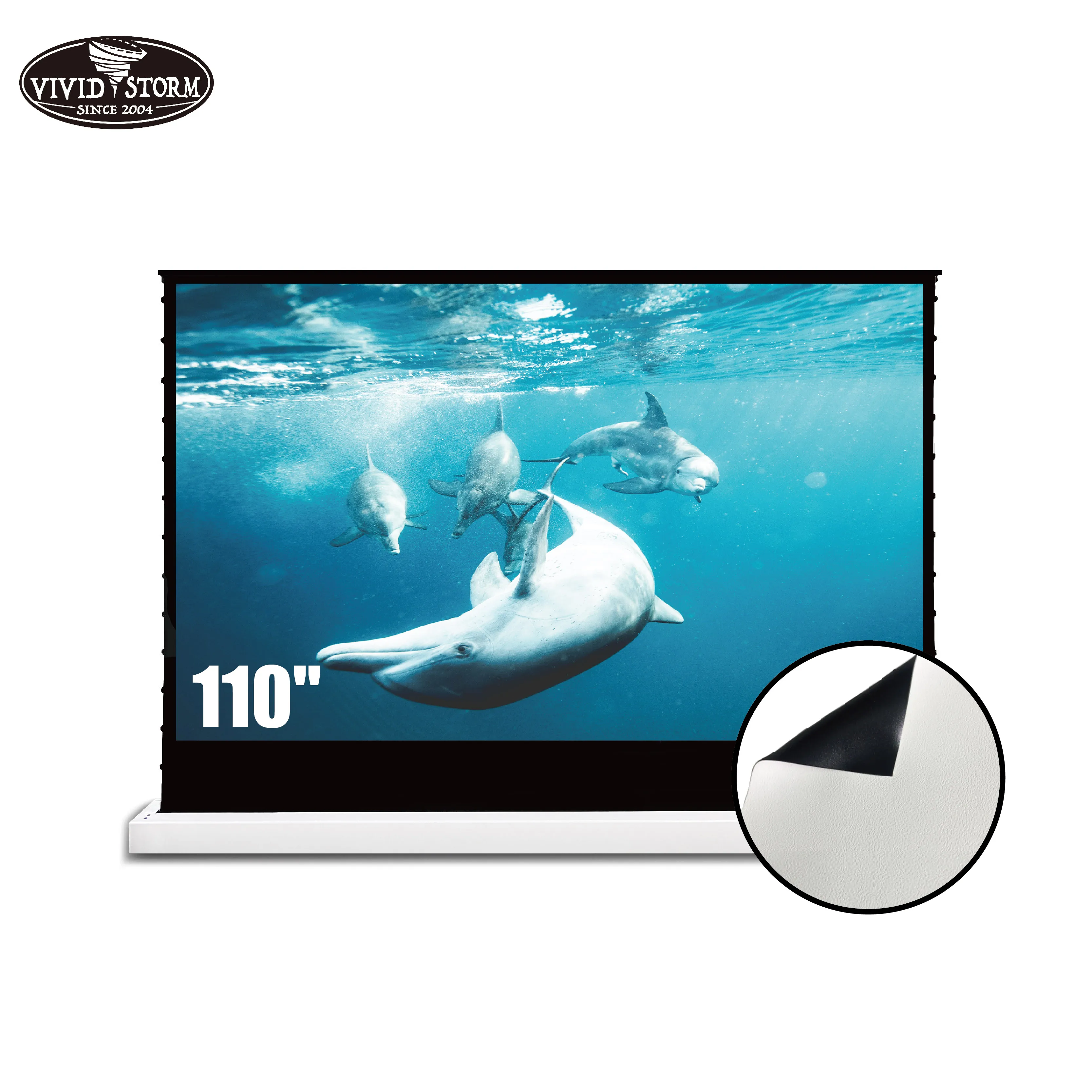 

VIVIDSTORM 110 inch,16:9, Electric tab-tensioned floor screen with Cinema White Screen Material video screen cinema