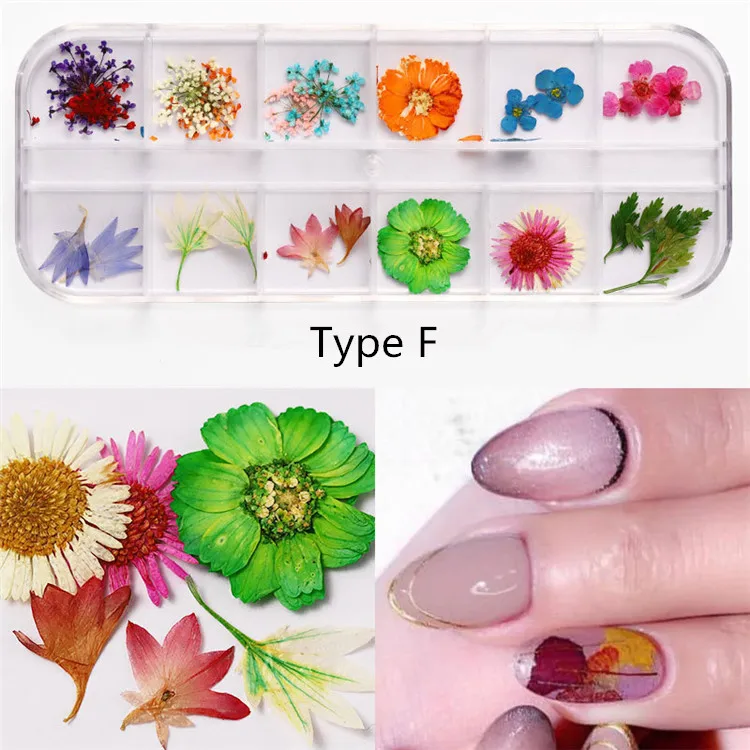 QT0188 Type F flower