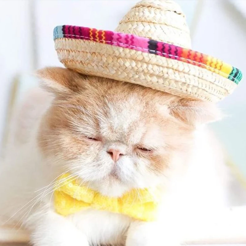 

Fashion Pet Mini Woven Straw Hat for Cat Beach Style Hat Sombrero for Small Dogs Cats Party Straw Costume Accessories For Cat, Picture shows;accept customization