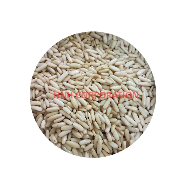 
Organic Pine Nuts Kernels / Pakistani Pine Nuts Kernels 